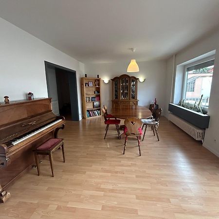 Superbe Appartement Avec Belle Terrasse Bischheim Ngoại thất bức ảnh